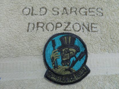 USAF Patch : 95th Ftr. intcp. Tng. Sq.- Subdued