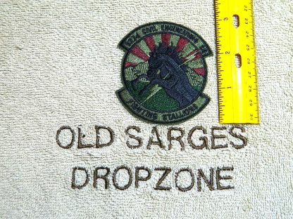 USAF : 923d Civil Engineering Sq. - Fighting Stallions - Subdued