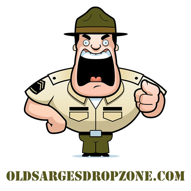 USA : 9th Inf. Division - Color